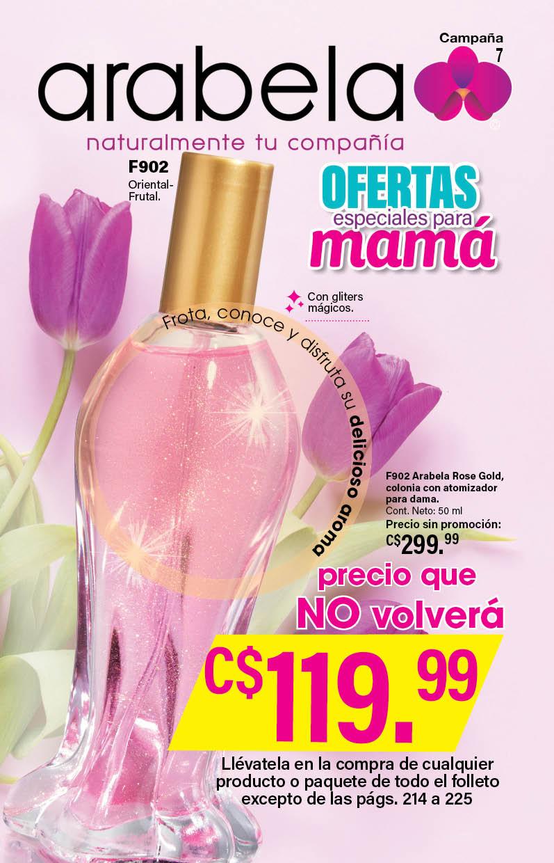 Camapaña