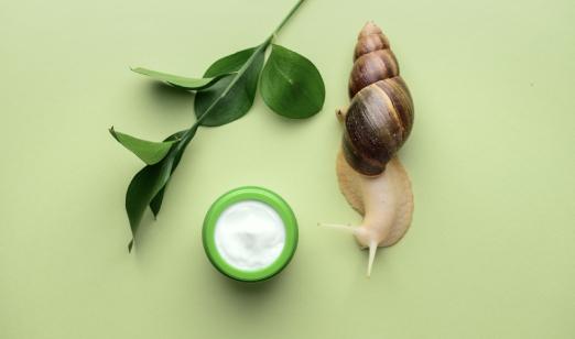 BABA DE CARACOL + ELIXIR